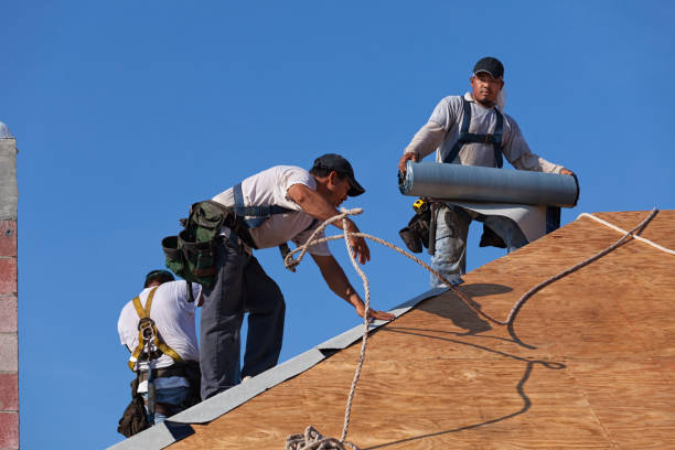 Best Flat Roof Repair Services  in Mendota, IL